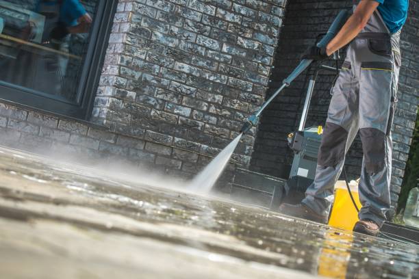 Best Fleet Vehicle Washing  in Marysville, WA